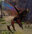 A scarab flying in the air.