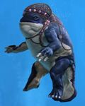 Generic Hat 1 Quaggan NPC.jpg