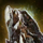 Lump of Aluminum Bronze.png