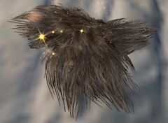 Pile of Fur.jpg