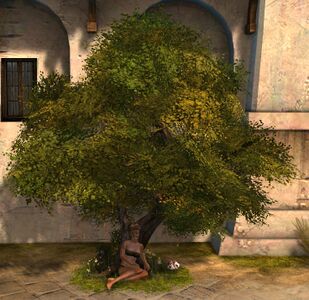 Quiet Woods Chair norn female.jpg