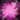 Rose Agony Lens.png