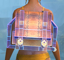 Super Backpack Cover.jpg