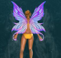 Sylph Wings Glider.jpg