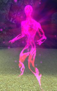 Champion Branded Ley-Line Anomaly.jpg