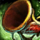 Crimson Antique Herald.png