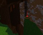 Dark Woods dig spot 3.jpg