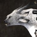 Exclusive face - charr female 6 side.jpg