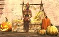 Thumbnail for version as of 05:17, 2 February 2020