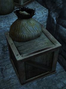 Food Stash.jpg