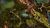 Tangled Depths Hidden Chest 6.jpg