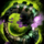 Tribal Focus.png