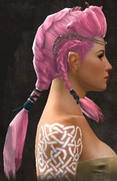 Unique norn female hair side 16.jpg