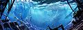 Arctic underwater concept art.jpg