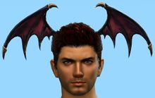 Bat Wings Headpiece.jpg