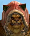 Appearance on a male charr.