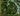 Guarded Glades map.jpg