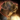 Lucky Dog Lantern.png
