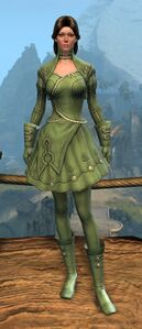 Appearance on light armor.