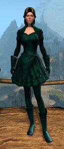 Appearance on light armor.