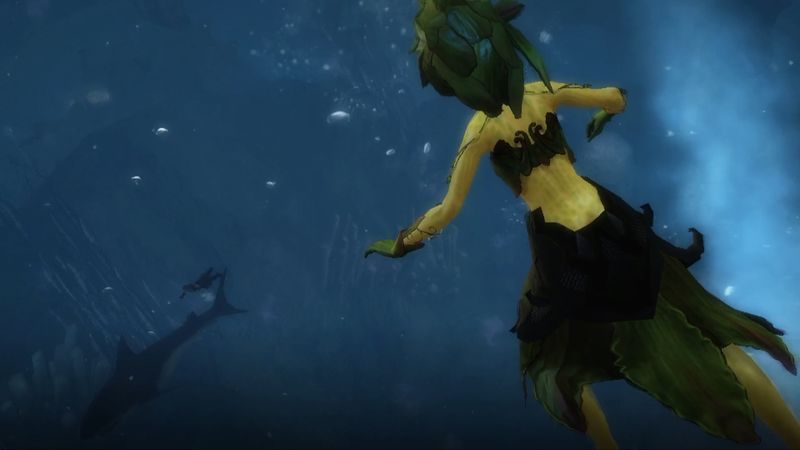 File:2010 August submerged1.jpg