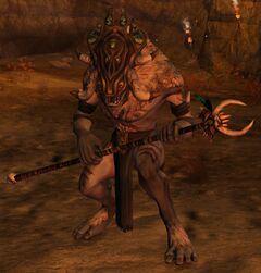 Champion Grawl Shaman.jpg