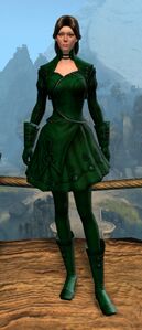 Appearance on light armor.