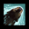 Jet.png