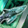 Kamohoali'i Kotaki Vol. 1.png