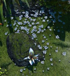 Pretty Flowers.jpg