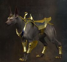Royal Anubis Jackal Skin.jpg