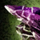 Smoky Brand Crystal.png