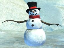 Snowman.jpg