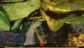 Thumbnail for version as of 14:27, 9 October 2017