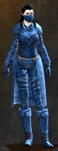 Appearance on medium armor.