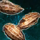 Carrot Seeds.png