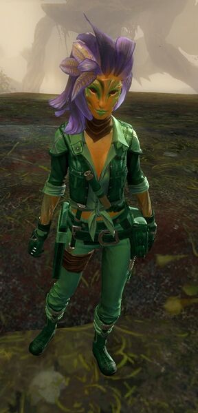 File:Commander (NPC).jpg