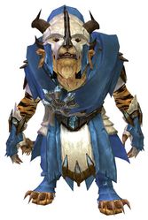 Drover armor charr male front.jpg