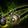 Mausollus Plunge.png