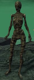 Mummy.jpg