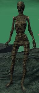 Mummy.jpg