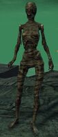 Mummy.jpg