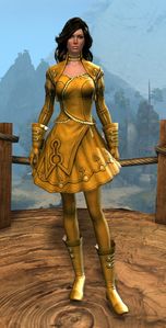 Appearance on light armor.