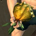 Thumbnail for version as of 06:22, 3 September 2024