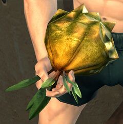 Seed Pod.jpg