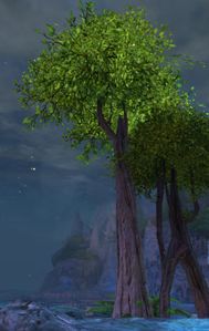 Tree (historical).jpg