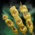 Bowl of Poultry Satay.png