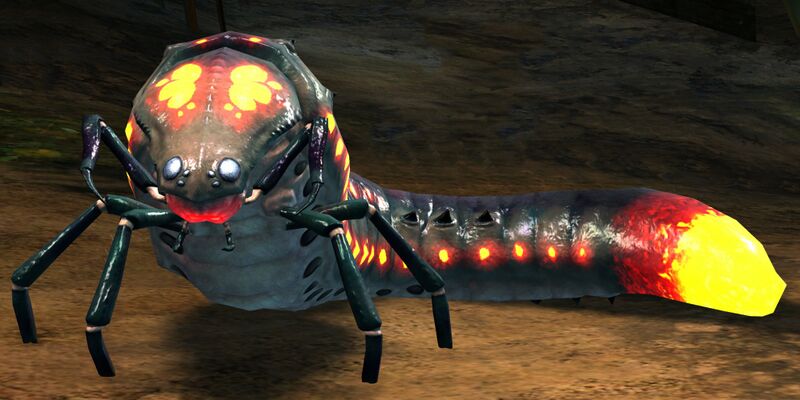 File:Cave Grub.jpg