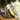 Dwayna's Promise.png