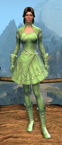 Appearance on light armor.